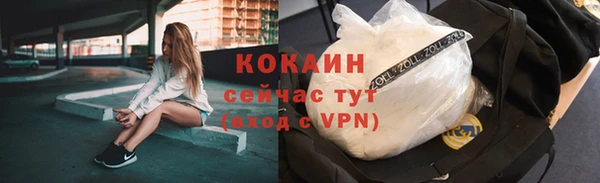 соль ск Алзамай