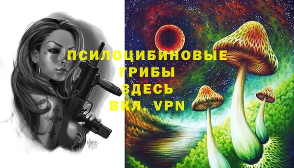 соль ск Алзамай